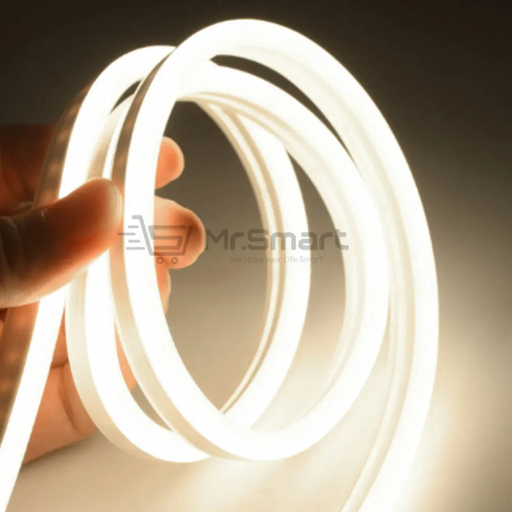 12V 5M LED Neon Strip Light. - Mr.Smart SA's Best Online Shopping Store