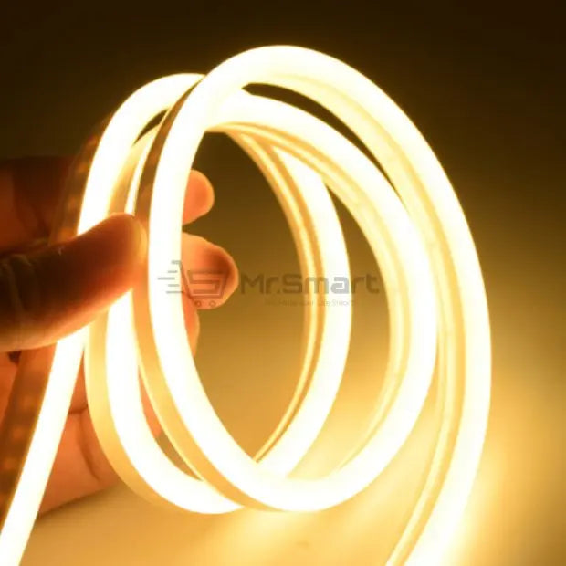 12V 5M LED Neon Strip Light. - Mr.Smart SA's Best Online Shopping Store