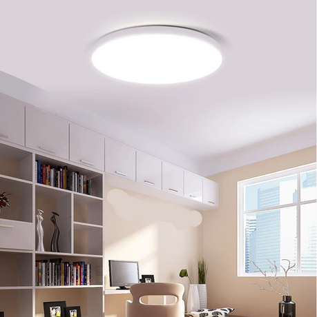12w Indoor/Outdoor LED Ceiling Light.