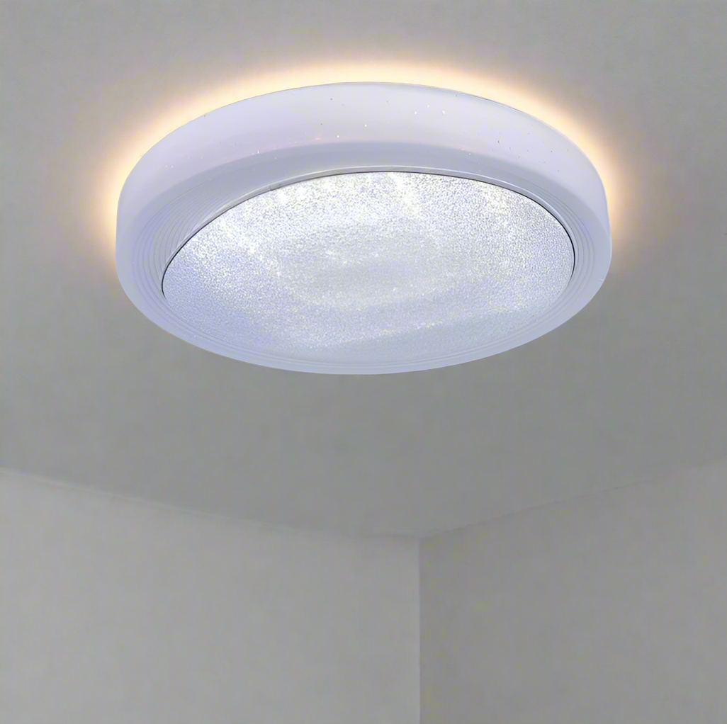 LED ceiling Light- CE024.
