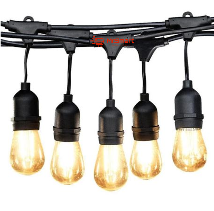 10m 10 Bulbs Plug-In LED Festoon String Light (Bulbs Included).
