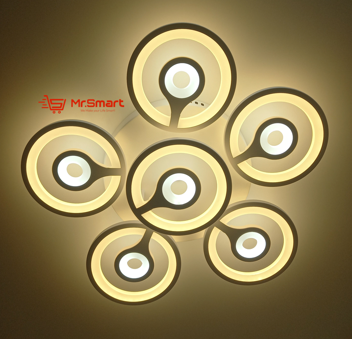 Modern Design Ceiling Light. - Mr.Smart SA's Best Online Shopping Store