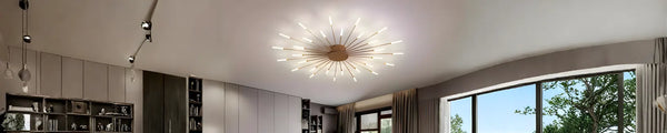 Ceiling Lights