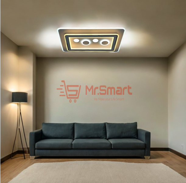 Modern Style Acrylic Ceiling Light - CE021. Mr.Smart SA's Best Online Shopping Store.