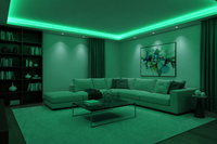100M - LED Strip Light 220V-GREEN-Living Room-Mr Smart Lighting Company.