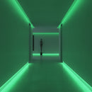 100M 220V 12CM Cuttable COB LED Strip Light-Mr Smart Lighting Company.-green-showroom.