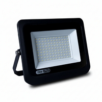 100W LED Flood Light outdoor waterproof high brightness security lighting solution for homes and commercial use-Mr Smart Lighting Company