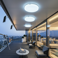 100W LED Solar Ceiling light. - Mr Smart Lighting Company-Balcony