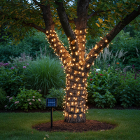 10M Solar Power LED Fairy String Lights for outdoor garden and patio décor
Waterproof solar LED fairy lights perfect for South African parties and events-Outdoor Spaces/Garden-Mr Smart Lighting Company.
