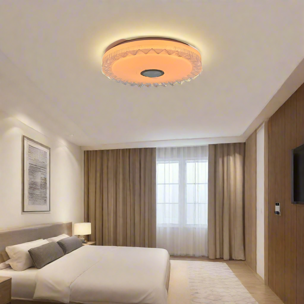 LED Ceiling Light With Bluetooth Speaker - CE009.