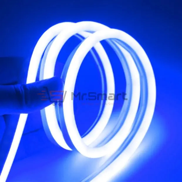 12V 5M LED Neon Strip Light My Store