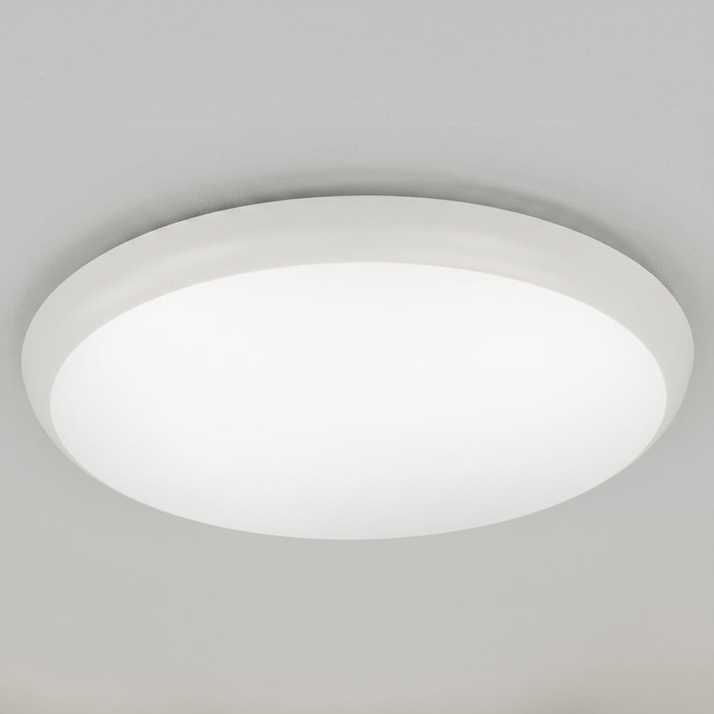 12w Indoor/Outdoor LED Ceiling Light.