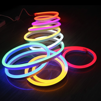 10M - RGB/Multicolor Neon LED Strip Light 220V.