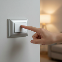 1 Lever 1 way switch - Silver-220V