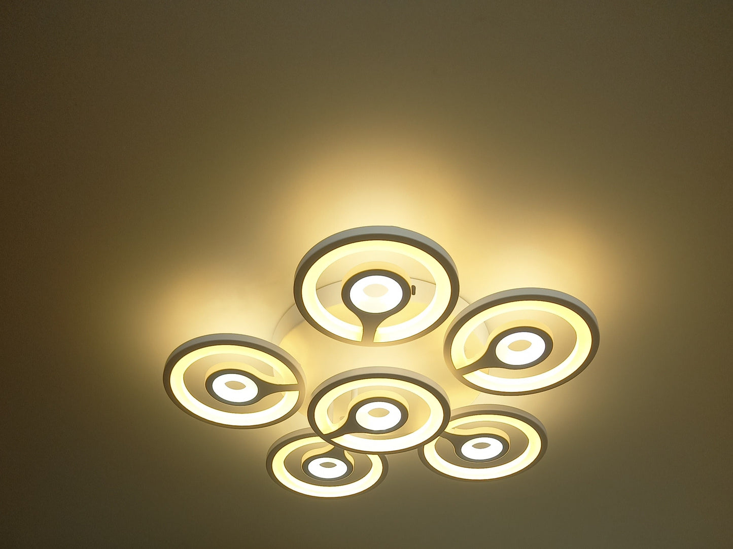 Modern Design Ceiling Light.