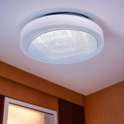 ceiling Light- CE024