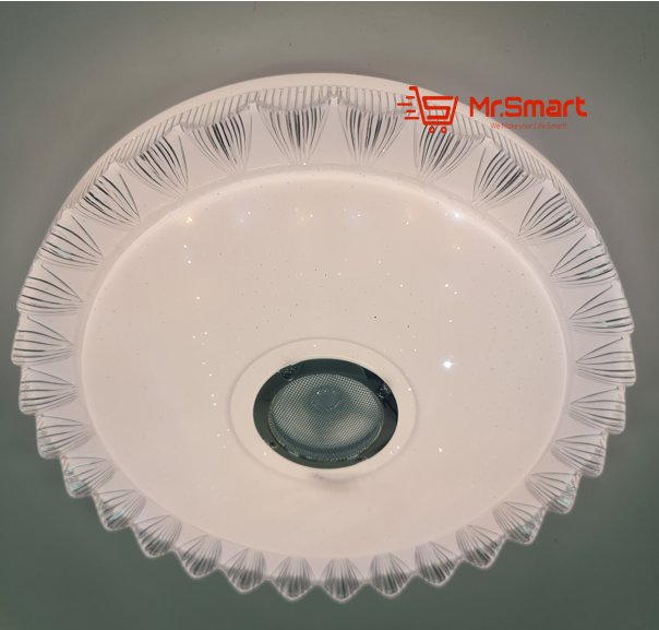 LED Ceiling Light With Bluetooth Speaker - CE009. - Mr.Smart SA's Best Online Shopping Store