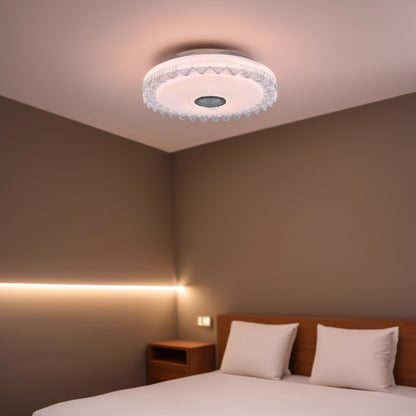 LED Ceiling Light With Bluetooth Speaker - CE009.