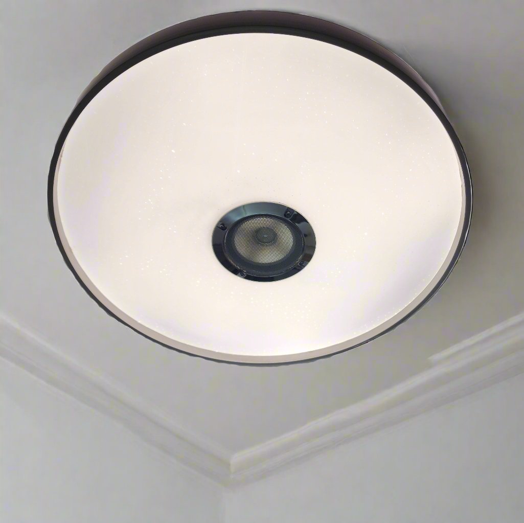 Bluetooth speaker ceiling light - W910/500. (Copy) Mr.Smart SA's Best Online Shopping Store.