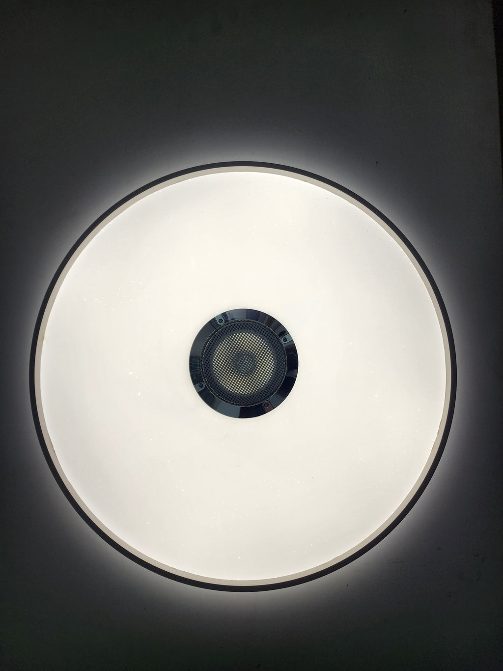 Bluetooth speaker ceiling light - W901-500WT.
