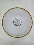 Bluetooth speaker ceiling light - W910-500. - Mr.Smart SA's Best Online Shopping Store