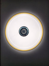 Bluetooth speaker ceiling light - W910-500. - Mr.Smart SA's Best Online Shopping Store