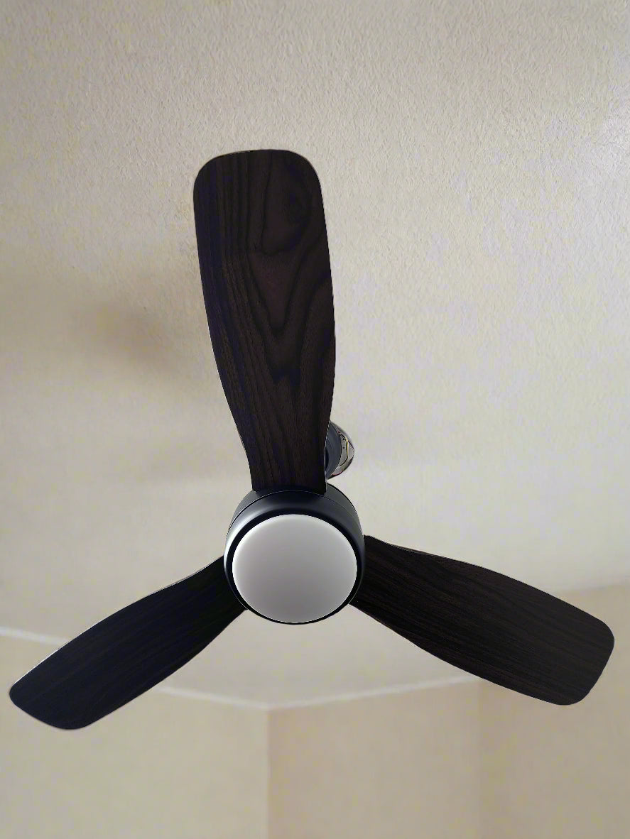 ceiling fan Mr.Smart SA's Best Online Shopping Store