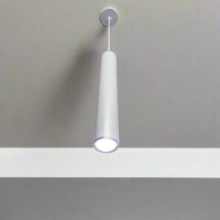 1 Light pendant Lamp.