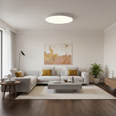 24w Indoor/Outdoor LED Ceiling Light.