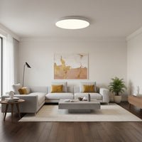 24w Indoor/Outdoor LED Ceiling Light.
