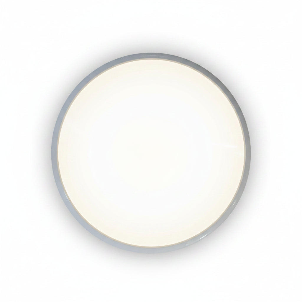 24w Indoor/Outdoor LED Ceiling Light.