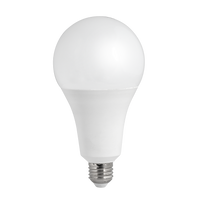 20W E27 Rechargeable LED Cool White Bulb.