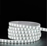 100M - LED Strip Light 220V. - Mr.Smart SA's Best Online Shopping Store
