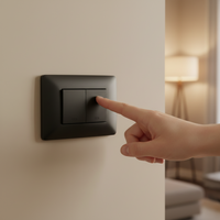 2 Lever 1 Way Switch - Black.