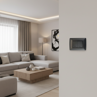 2 Lever 1 Way Switch - Silver.