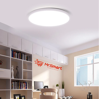12w Indoor/Outdoor LED Ceiling Light