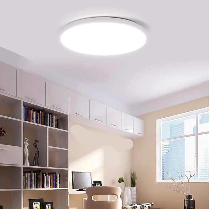 12w Indoor/Outdoor LED Ceiling Light. Mr.Smart