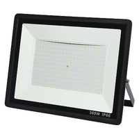 300W LED flood light - 191128.