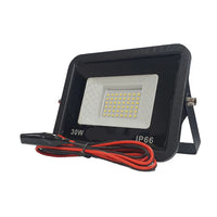 30W 12V DC LED Flood Light with battery clamp.