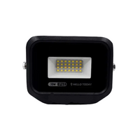 30W LED Flood Light. - Mr.Smart SA's Best Online Shopping Store