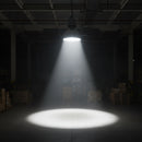 100W E40 LED High Powered Lamps.