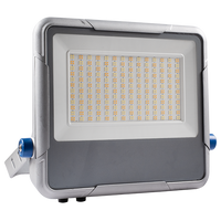 Radiant 500W Grey LED Flood light - RPR376
