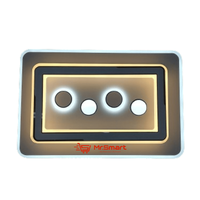 Modern Style Acrylic Ceiling Light - CE021. - Mr.Smart SA's Best Online Shopping Store