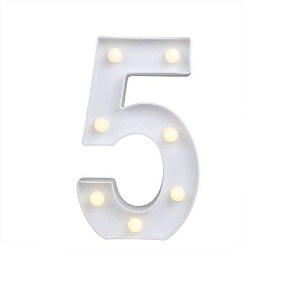 LED Number Lights (Size 22CM)