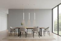 1 Light pendant Lamp.