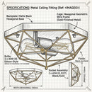 Brightstar-CF439 BLACK/GOLD Ceiling Light-Modern Drawing-Mr Smart Lighting Company