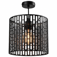 Brightstar-PEN898 BLACK Pendent Light-Mr Smart Lighting Company