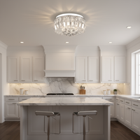 CEILING LIGHT-CF011/9 CHROME