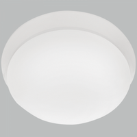 CEILING LIGHT-CF017 WHITE