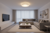 CEILING LIGHT-CF118/24 LED